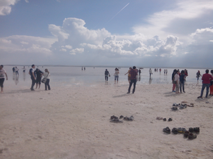 IMG_20140608_164657.jpg 2560x1920 index 63